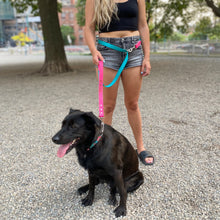 Load image into Gallery viewer, rope dog leash