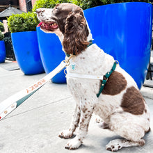 Load image into Gallery viewer, Biothane Dog Harness