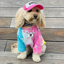 Load image into Gallery viewer, Insta Famous Dog Tag