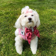 Load image into Gallery viewer, Insta Famous Dog Tag