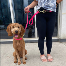 Load image into Gallery viewer, dog leash canada