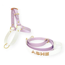 Load image into Gallery viewer, Biothane Dog Harness