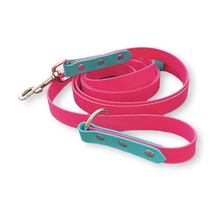 Load image into Gallery viewer, Biothane Classic Slip Lead