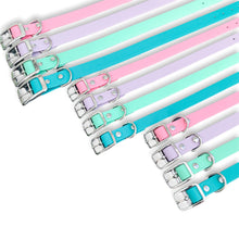 Load image into Gallery viewer, Biothane Classic Dog Collar