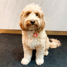 Load image into Gallery viewer, Heart Dog Tag