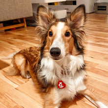 Load image into Gallery viewer, Heart Dog Tag