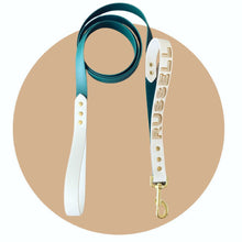 Load image into Gallery viewer, best dog leash