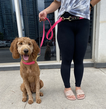 Load image into Gallery viewer, dog collars chain