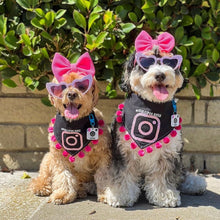 Load image into Gallery viewer, Insta Famous Dog Tag