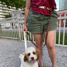 Load image into Gallery viewer, biothane dog leash