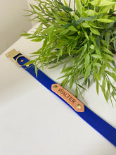 Load image into Gallery viewer, Collar With Release Buckle