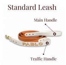 Load image into Gallery viewer, dog leash