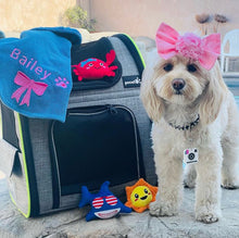 Load image into Gallery viewer, Insta Famous Dog Tag