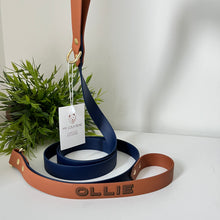 Load image into Gallery viewer, Biothane Standard Dog Leash