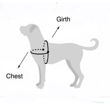 Load image into Gallery viewer, Biothane Dog Harness