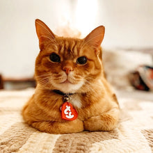 Load image into Gallery viewer, Heart Dog Tag