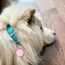 Load image into Gallery viewer, I just a baby Dog Tag