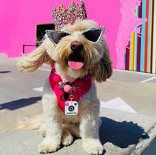 Load image into Gallery viewer, Insta Famous Dog Tag