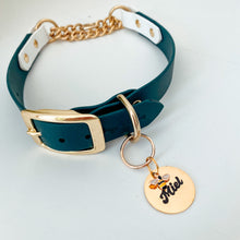 Load image into Gallery viewer, Martingale Dog Collar With Belt Buckle