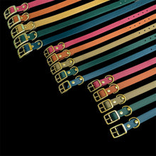 Load image into Gallery viewer, Biothane Classic Dog Collar