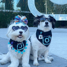 Load image into Gallery viewer, Insta Famous Dog Tag