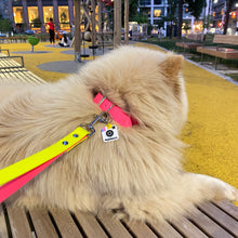 Load image into Gallery viewer, Insta Famous Dog Tag