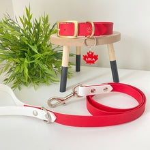 Load image into Gallery viewer, Maple Leaf Dog Tag