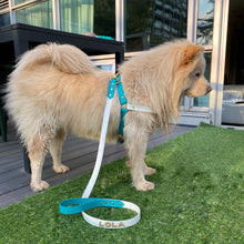 Load image into Gallery viewer, large dog harness
