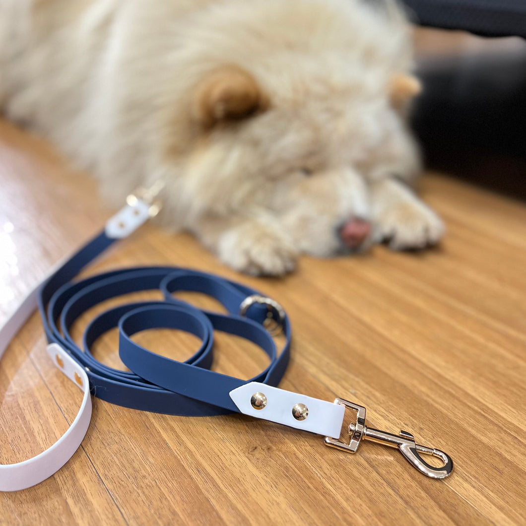 Navy and White Hands Free Leash