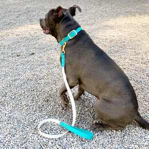 Biothane Standard Dog Leash