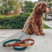 Load image into Gallery viewer, Hunter Green and Brown Standard Leash
