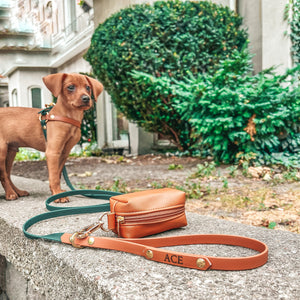 Hunter Green and Brown Standard Leash