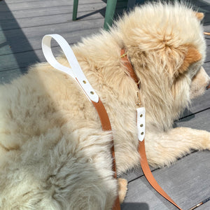 Brown and White Standard Leash