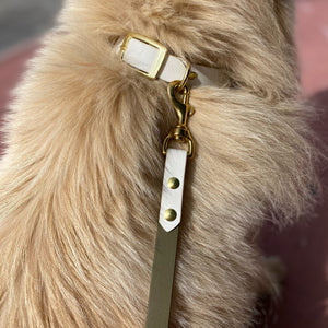 Olive and White Standard Leash