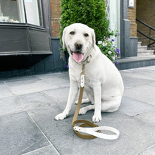 Load image into Gallery viewer, Olive and White Standard Leash
