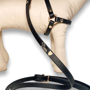 Biothane Dog Harness