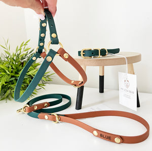 Hunter Green and Brown Standard Leash