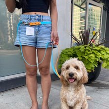 Load image into Gallery viewer, bungee dog leash
