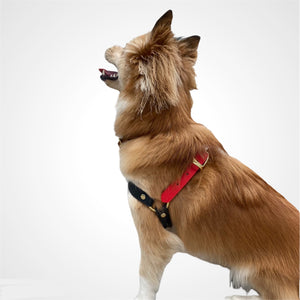 Biothane Dog Harness, Best No Pull Dog Harness
