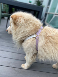 Biothane Dog Harness