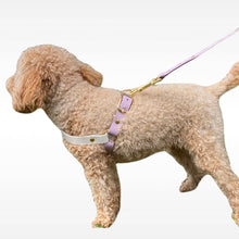 Load image into Gallery viewer, dog harness with handle
