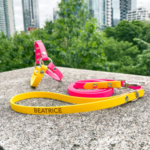 Biothane Standard Dog Leash