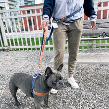 Load image into Gallery viewer, retractable dog leash
