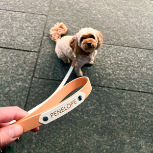 Biothane Standard Dog Leash