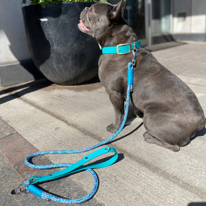 Waterproof Rope Leash