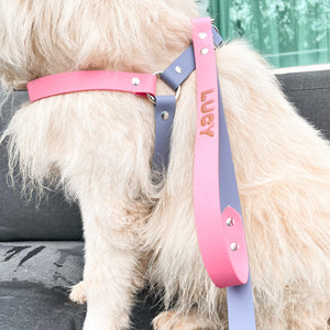 Biothane Dog Harness