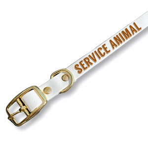 dog collar service animal